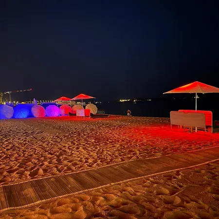 Tres Bel Proche Et Palais Du Festival * Cannes